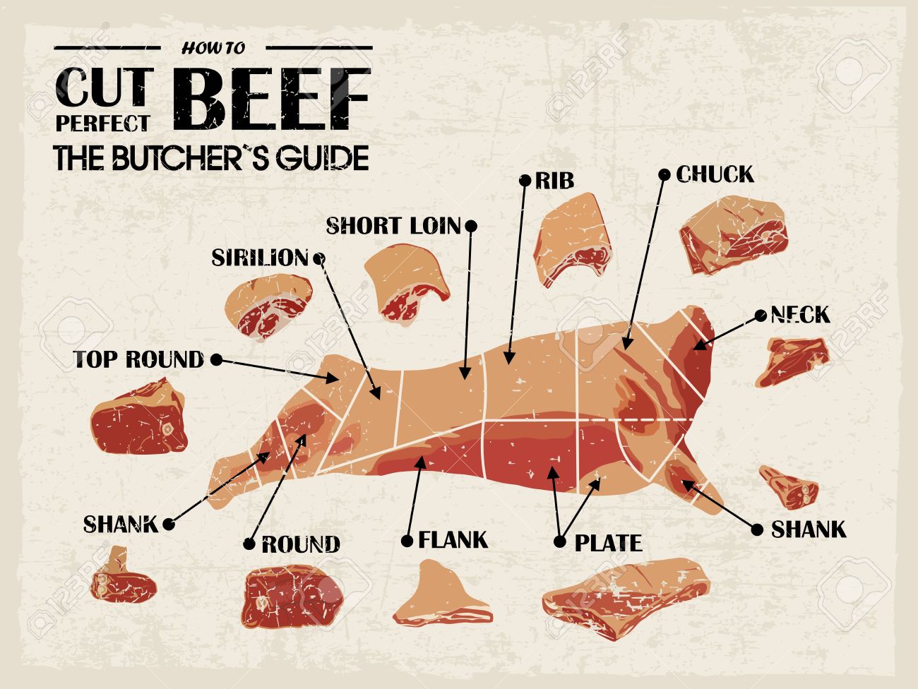 Meat Cutting Knives Set Poster Butcher Diagram And Scheme Stock  Illustration - Download Image Now - iStock