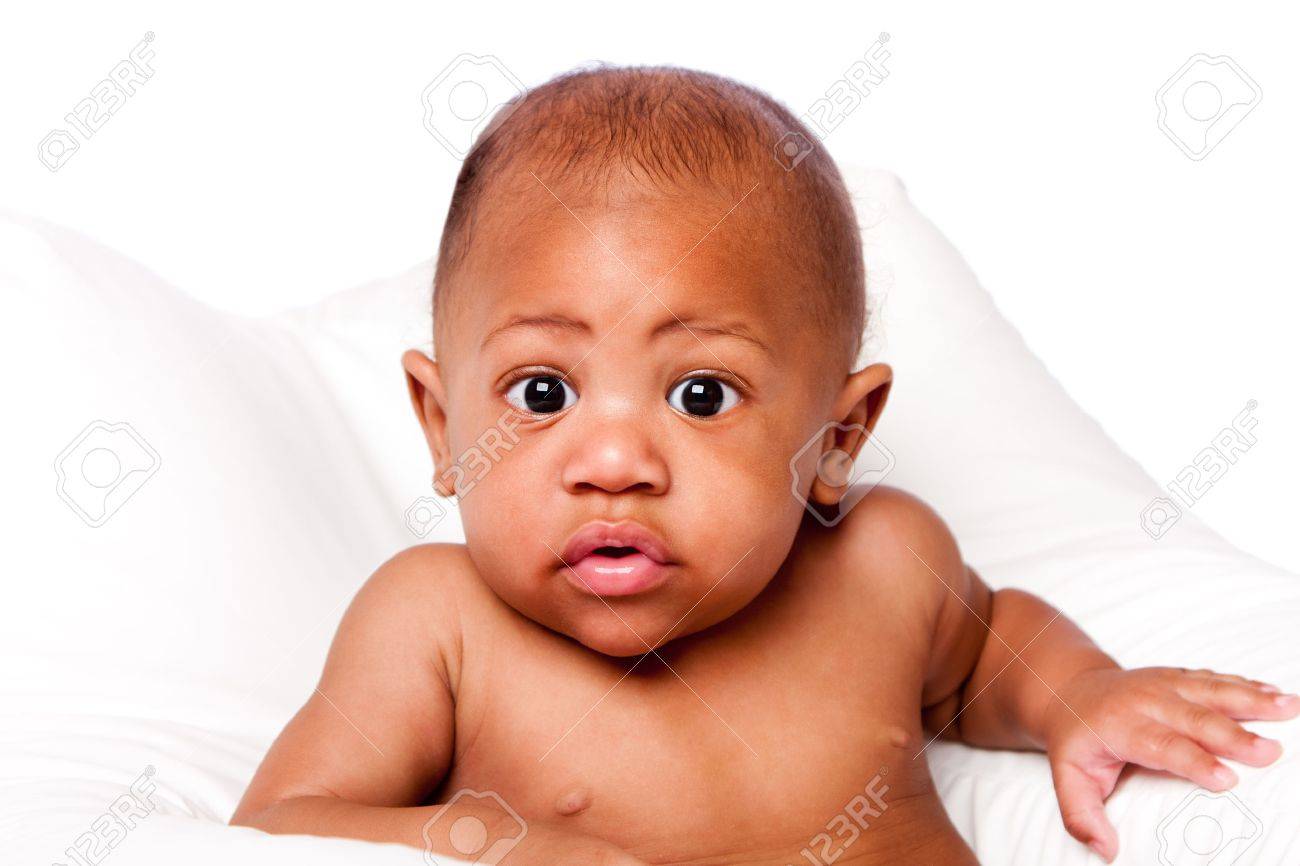 巨大な目の白の美しいアフリカはりねずみ可愛い顔 の写真素材 画像素材 Image