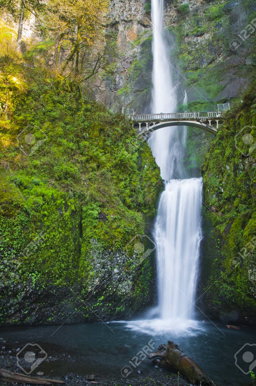 Multnoma Falls Stock Photo, Picture and Royalty Free Image. Image 58906298., image size:863x1300