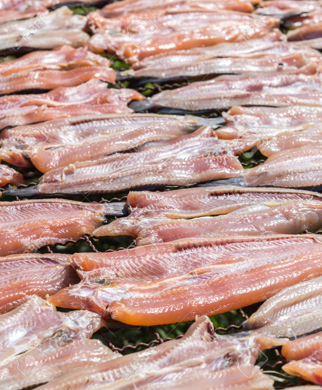新しい魚が太陽の下で乾燥 乾燥ストライプ ライギョ タイ料理の準備します の写真素材 画像素材 Image