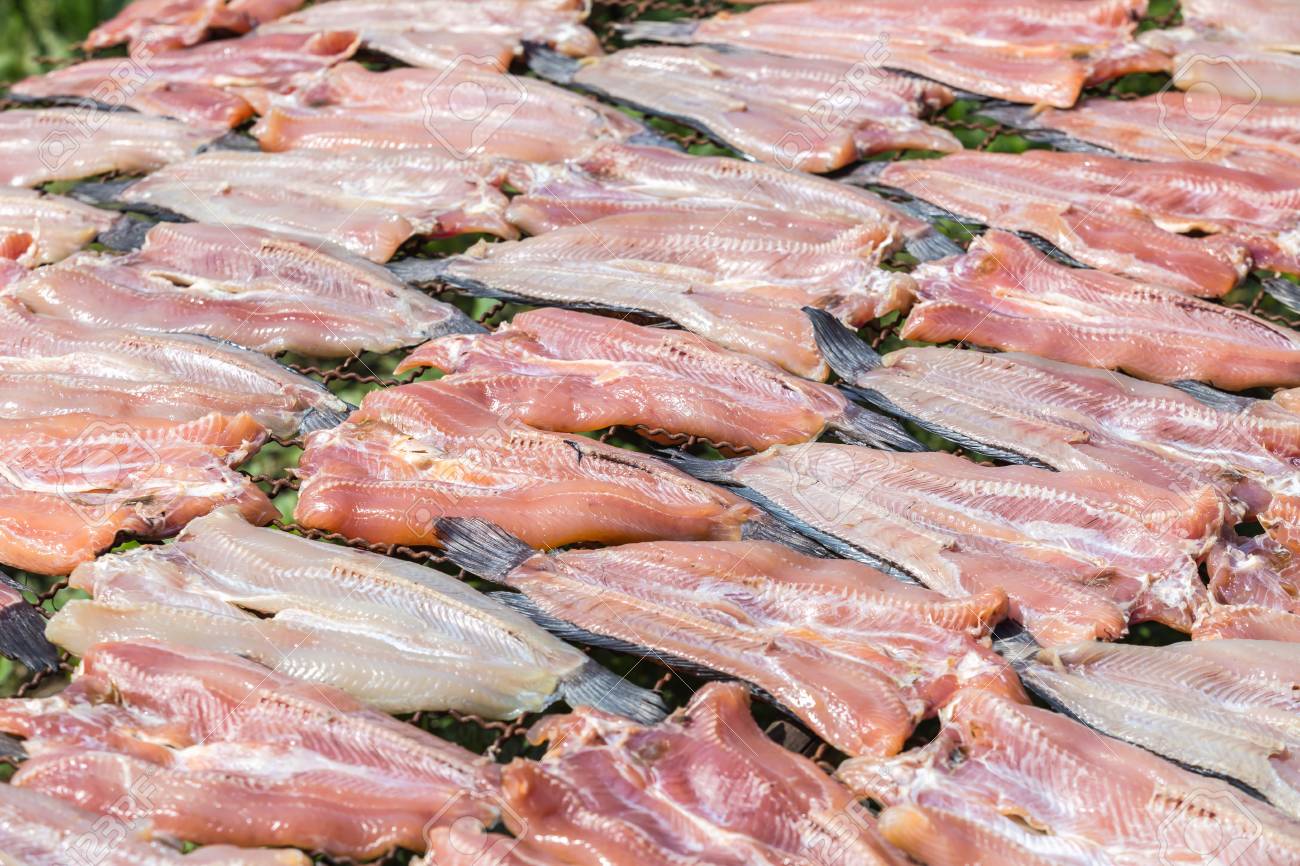 新しい魚が太陽の下で乾燥 乾燥ストライプ ライギョ タイ料理の準備します の写真素材 画像素材 Image