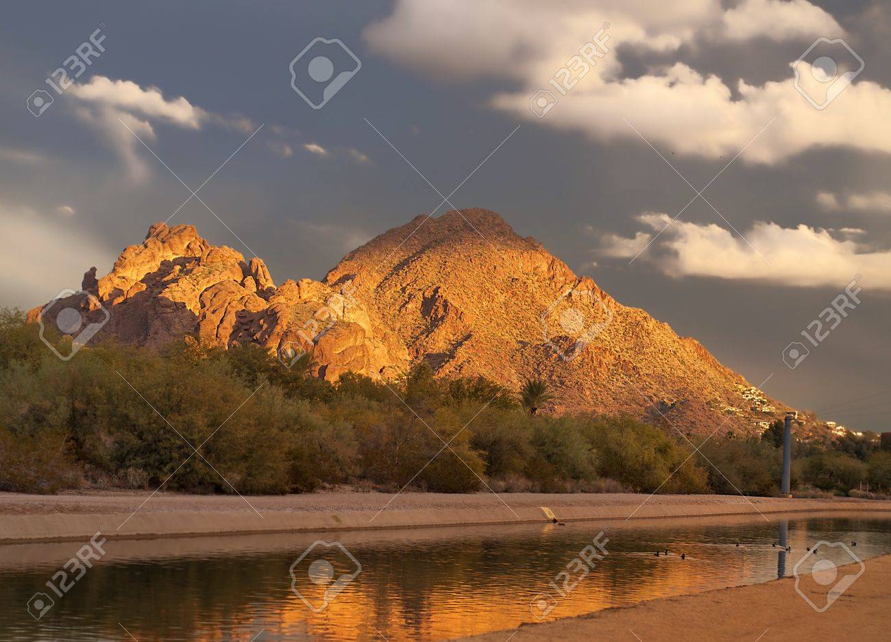 etiam-dictum-ipsum-a-felis