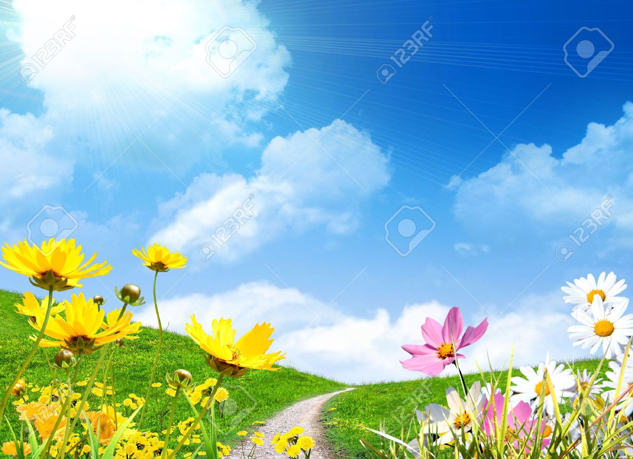 Spring flowers and a grassy meadow - 4923717 Spring flowers and a grassy meadow - 4923717