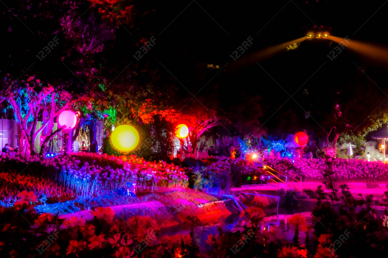 etiam-dictum-ipsum-a-felis