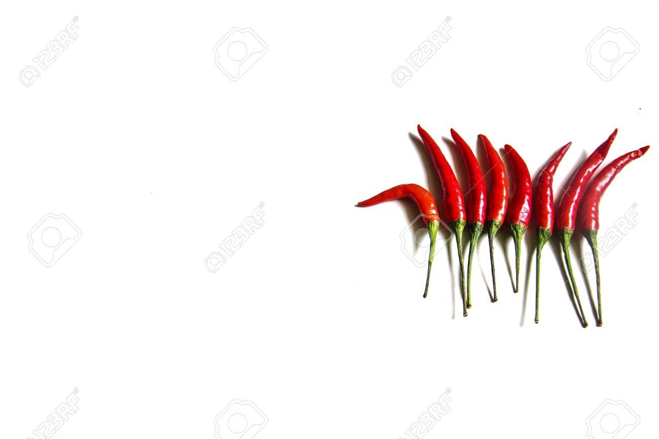 Red hot chili peppers on white background - 18807248 Red hot chili peppers on white background - 18807248