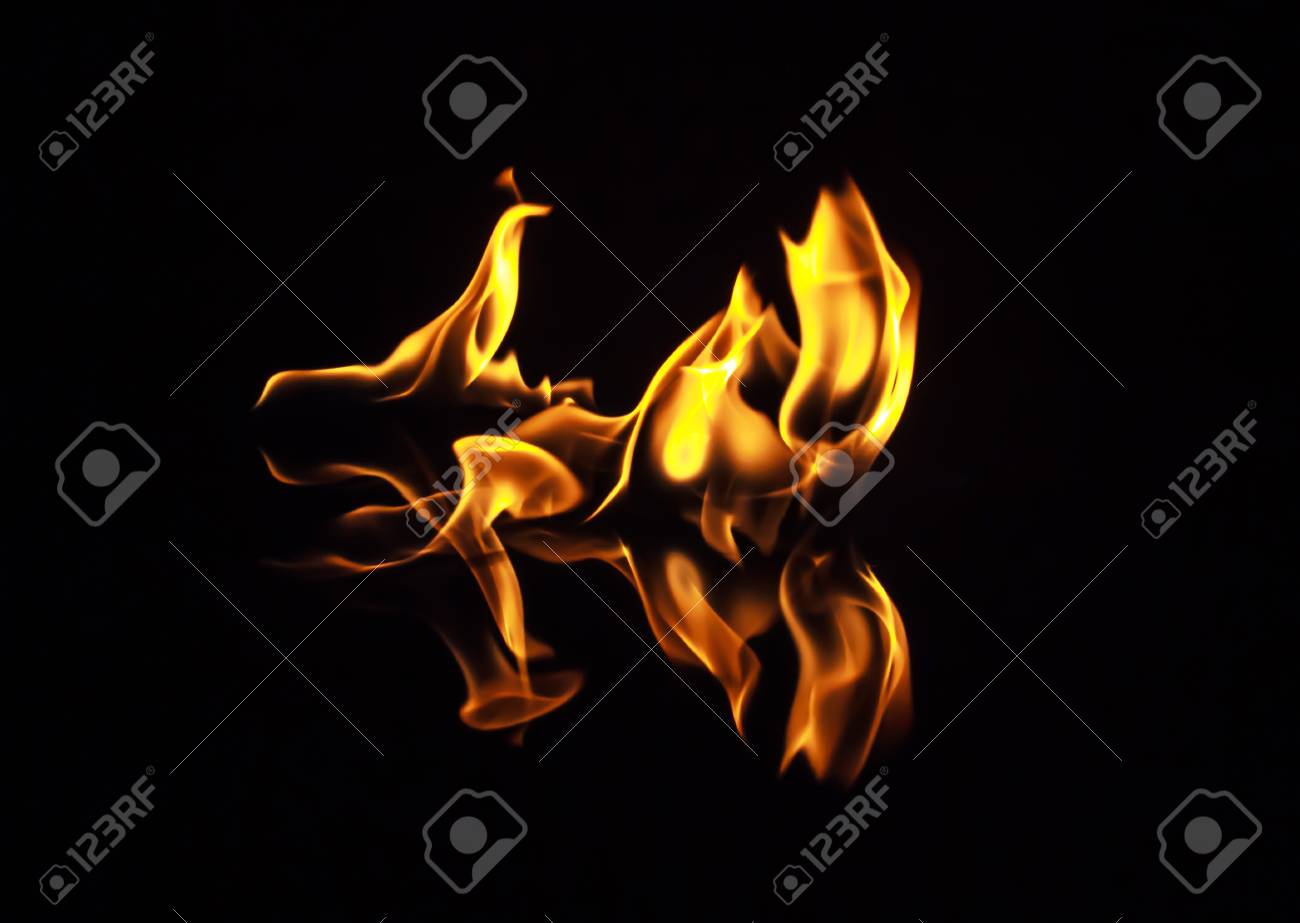 etiam-dictum-ipsum-a-felis