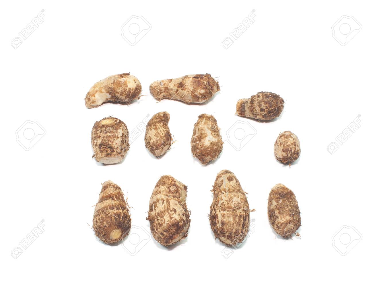 etiam-dictum-ipsum-a-felis