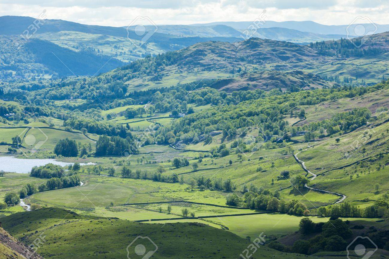 etiam-dictum-ipsum-a-felis