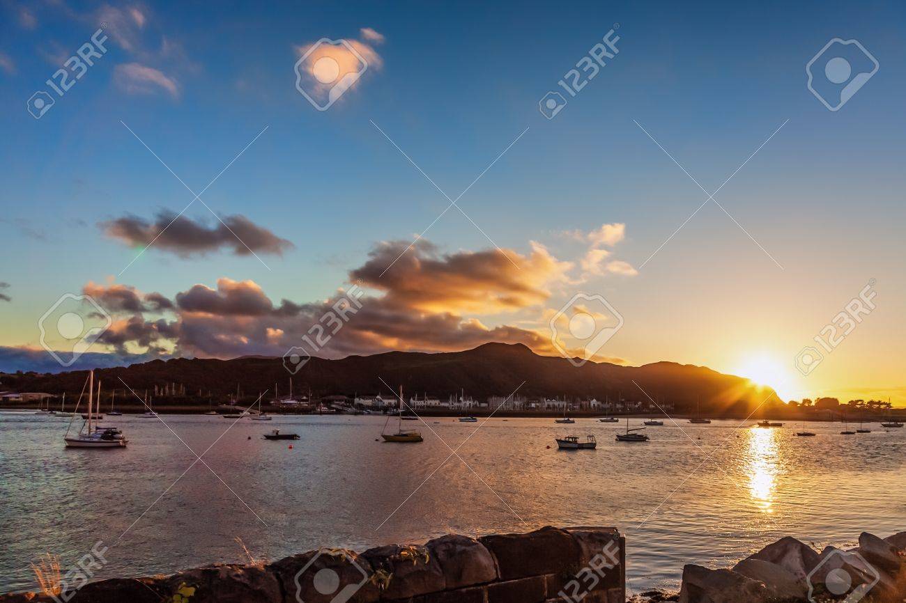 etiam-dictum-ipsum-a-felis