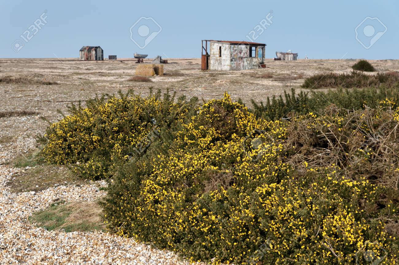 old shacks and boats on dungeness beach stock photo picture and