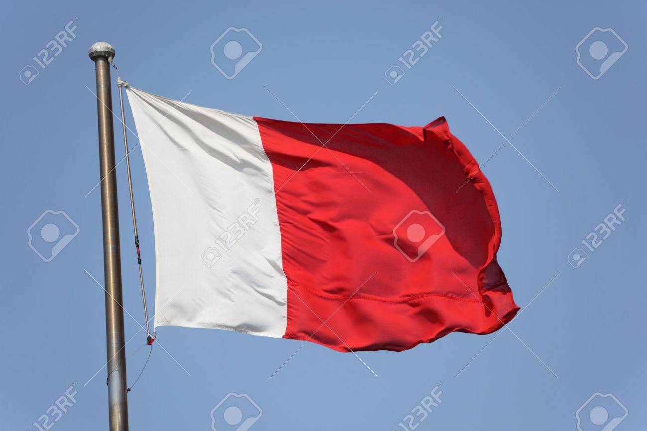 ドバイ、アラブ首長国連邦の国旗の写真素材・画像素材 Image 9800606