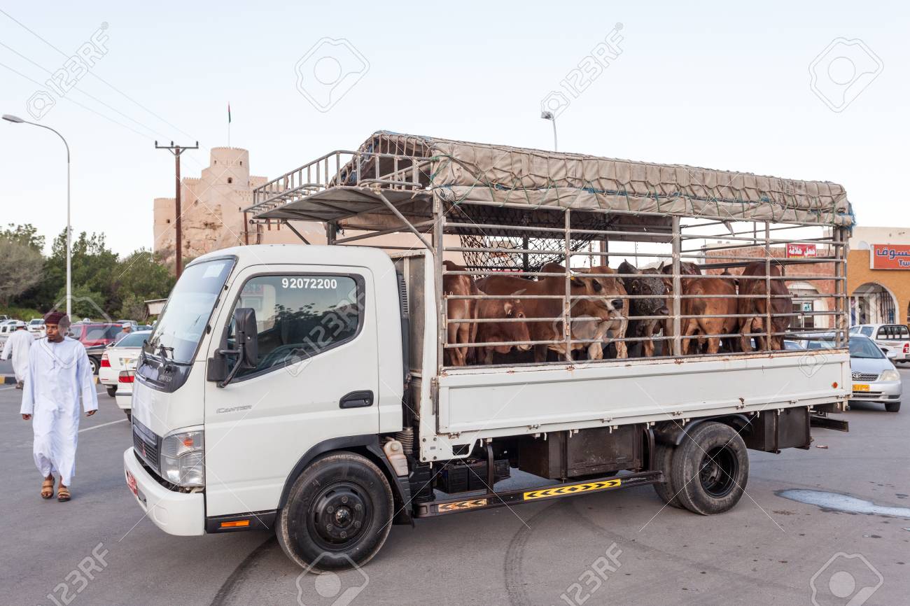 NAKHL, OMAN - 27 DE NOVIEMBRE: Camión Del Transporte Del Ganado En ...