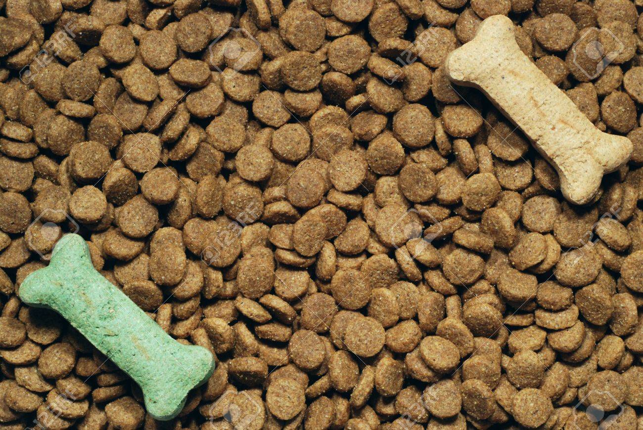 booda dome cleanstep cat box