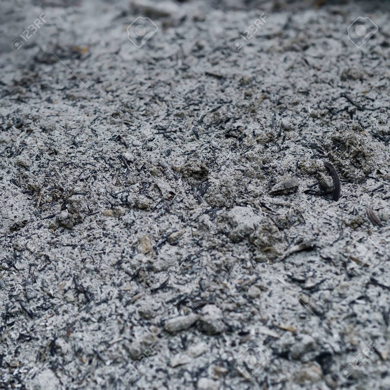 flyash
