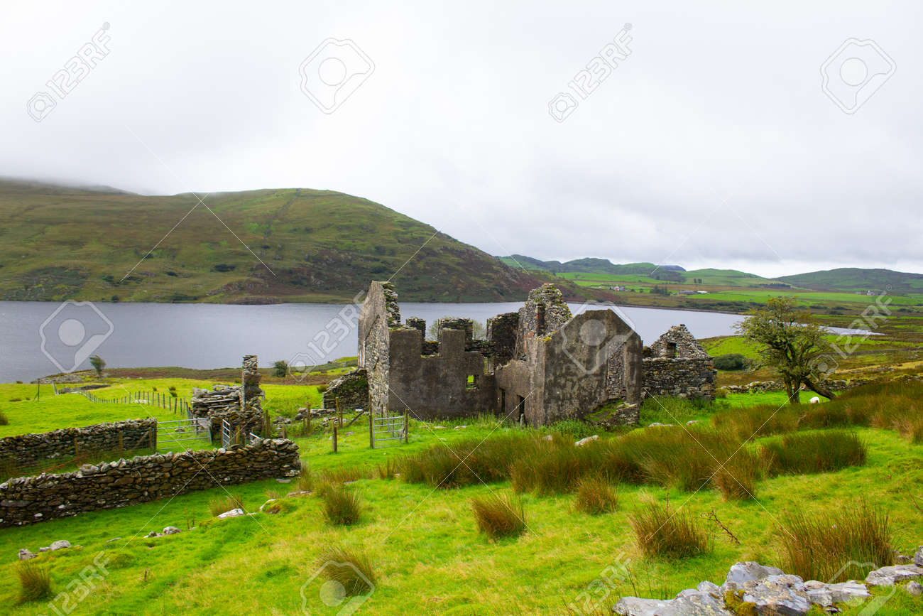 etiam-dictum-ipsum-a-felis