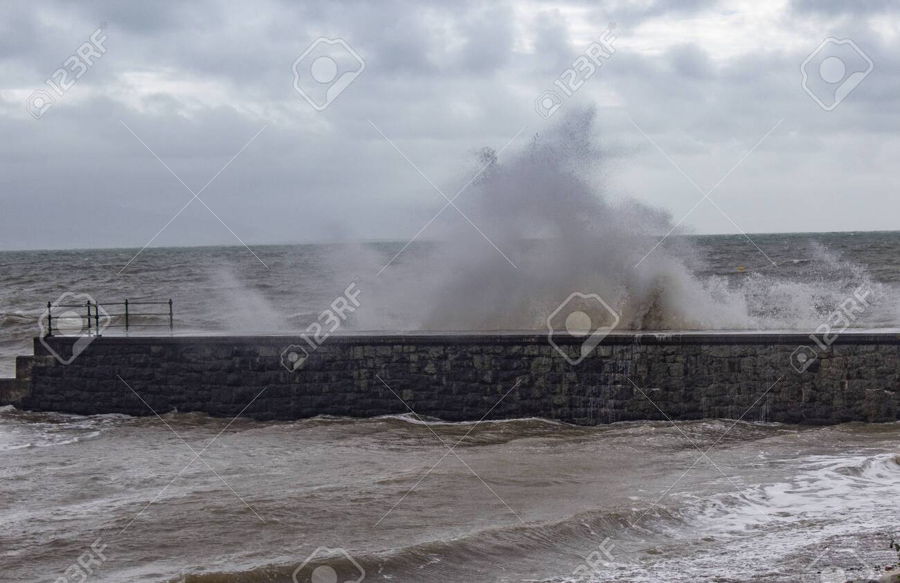 etiam-dictum-ipsum-a-felis