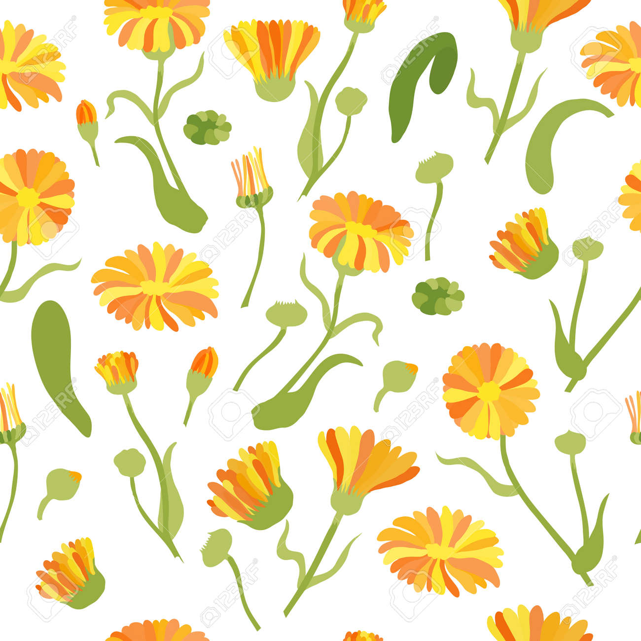 Seamless Pattern with Colored Calendula Parts. Twigs, Flower Heads and Leaves Placed Chaotically on White Backdrop. Ideal for Magazine, Recipe book, Poster, Card, Menu cover etc. - 166149135 Seamless Pattern with Colored Calendula Parts. Twigs, Flower Heads and Leaves Placed Chaotically on White Backdrop. Ideal for Magazine, Recipe book, Poster, Card, Menu cover etc. - 166149135