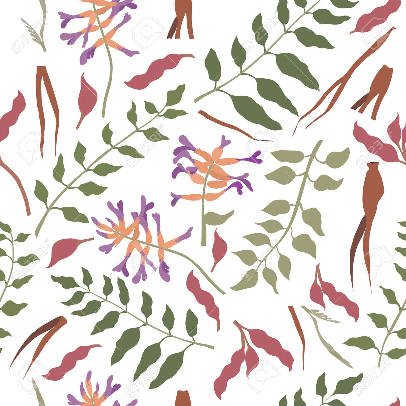 Seamless Pattern with Chinese liquorice colored Parts. Leaves, Flower Heads, Roots and Beans Placed Chaotically on White Backdrop. Ideal for Magazine, Recipe book, Poster, Card, Menu cover etc. - 166149137 Seamless Pattern with Chinese liquorice colored Parts. Leaves, Flower Heads, Roots and Beans Placed Chaotically on White Backdrop. Ideal for Magazine, Recipe book, Poster, Card, Menu cover etc. - 166149137