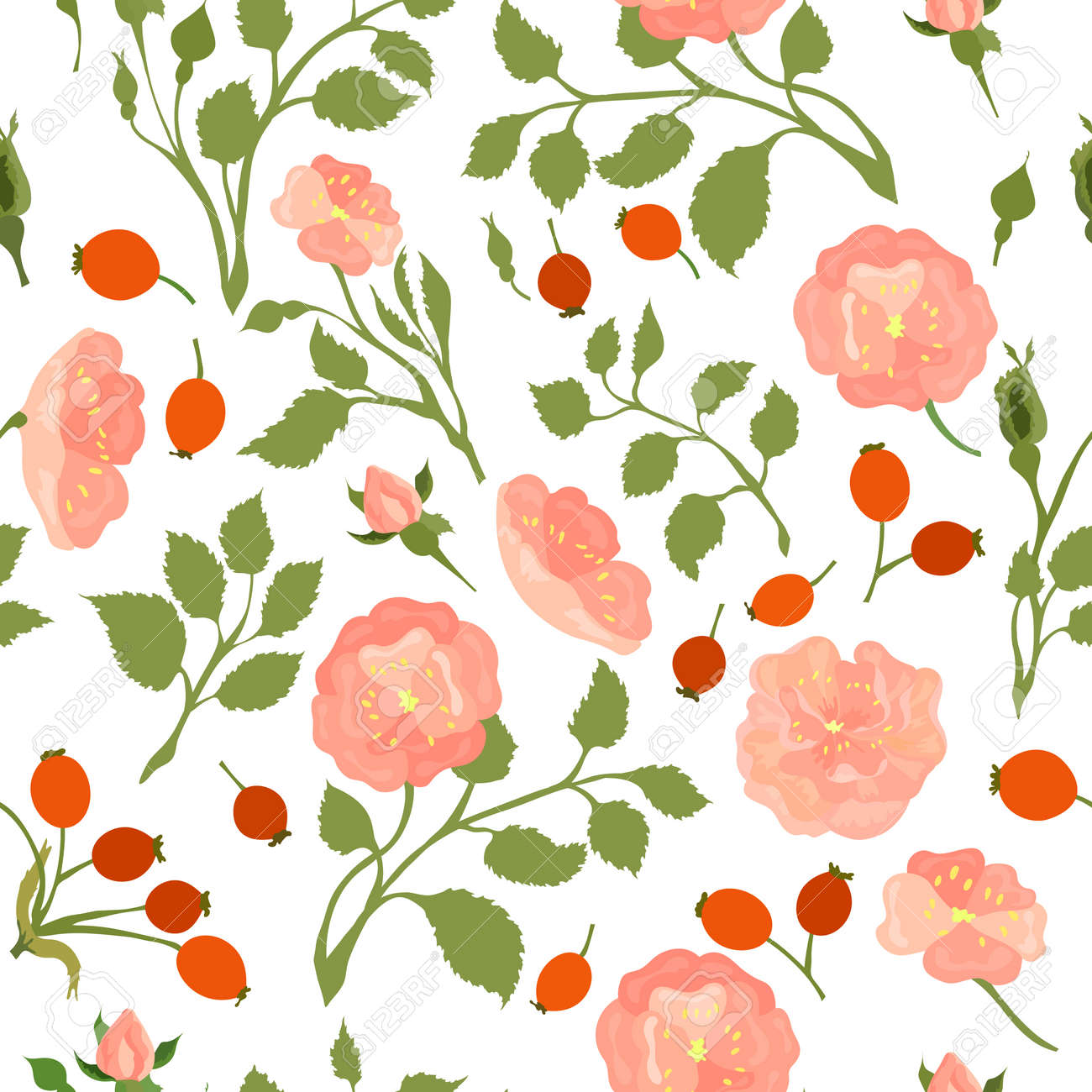 Seamless Pattern with Colored Dog-Rose. Twigs, Flower Heads, Fruits and Leaves Placed Chaotically on White Backdrop. Ideal for Magazine, Recipe book, Poster, Card, Menu cover etc. - 166149141 Seamless Pattern with Colored Dog-Rose. Twigs, Flower Heads, Fruits and Leaves Placed Chaotically on White Backdrop. Ideal for Magazine, Recipe book, Poster, Card, Menu cover etc. - 166149141