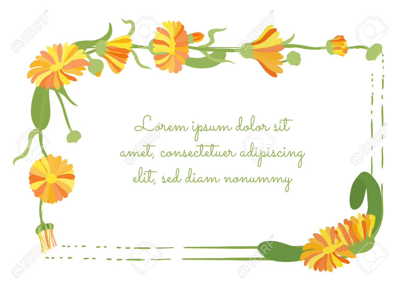 Squarish Frame Decorated by Calendula Plant Garland and Brush Strokes. Multicolored Desert Marigold Flower for Magazine, Recipe book, Poster, Cards, Menu cover etc. - 166555178 Squarish Frame Decorated by Calendula Plant Garland and Brush Strokes. Multicolored Desert Marigold Flower for Magazine, Recipe book, Poster, Cards, Menu cover etc. - 166555178
