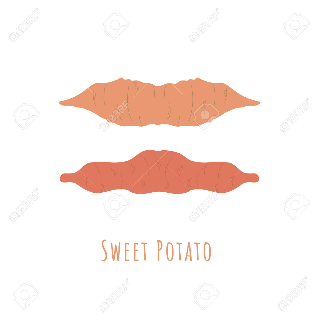 Two whole sweet potatos isolated on white and made in flat style. No outlined Symmetrical shapes filled with color only. Colorful vector illustration for product design, web and print usage. - 167239110 Two whole sweet potatos isolated on white and made in flat style. No outlined Symmetrical shapes filled with color only. Colorful vector illustration for product design, web and print usage. - 167239110