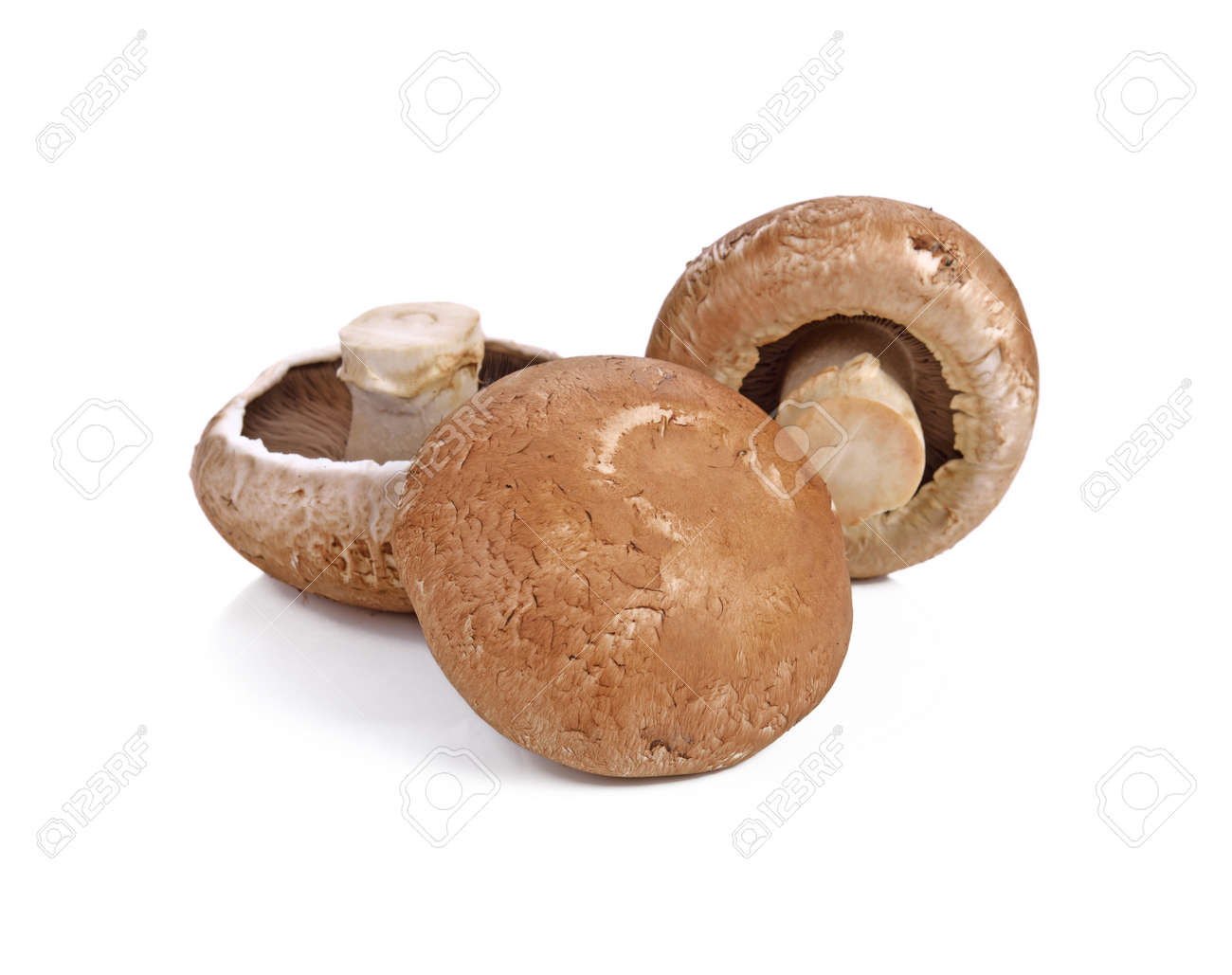 Fresh Portobello mushrooms isolated on white background - 169847790 Fresh Portobello mushrooms isolated on white background - 169847790