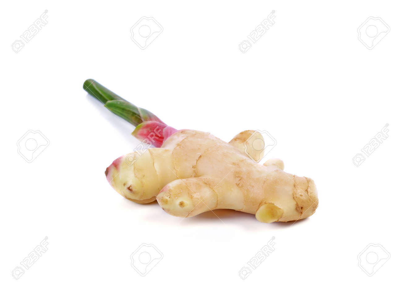 Greater galangal isolated on the white background - 169847851 Greater galangal isolated on the white background - 169847851