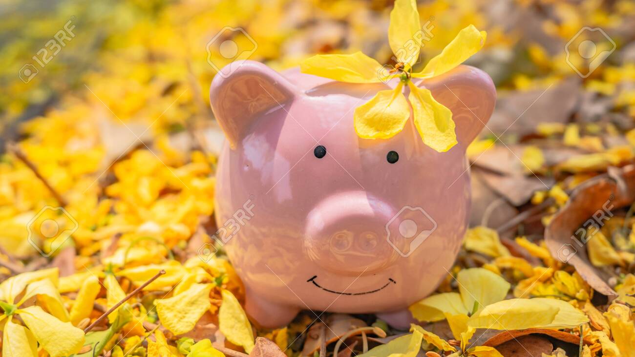 Piggy Bankin Slot Free Deposit Free Download