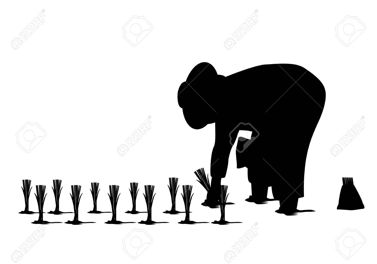 シルエット農家ベクトル形状 のイラスト素材 ベクタ Image