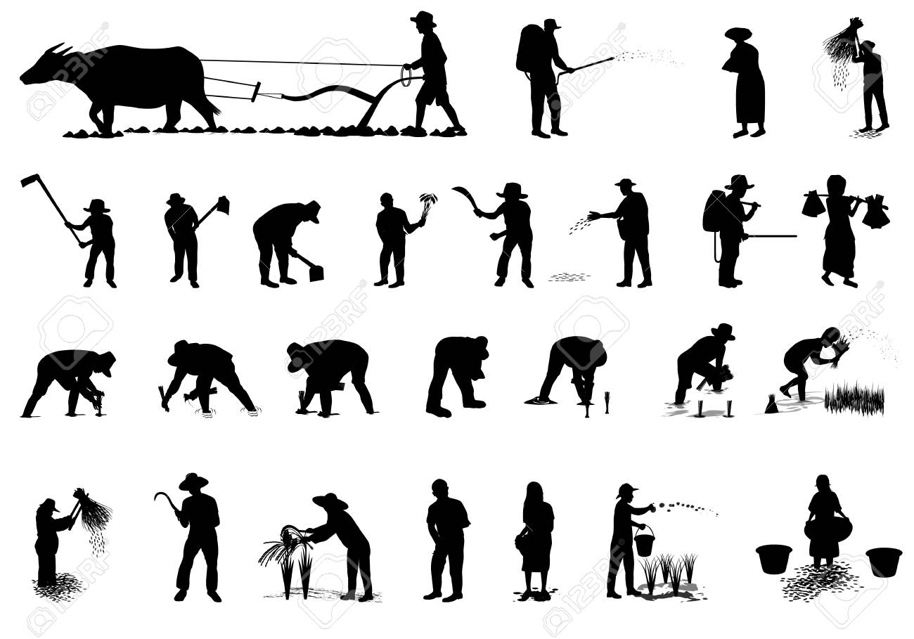 シルエット農家形状のベクトル のイラスト素材 ベクタ Image 8568