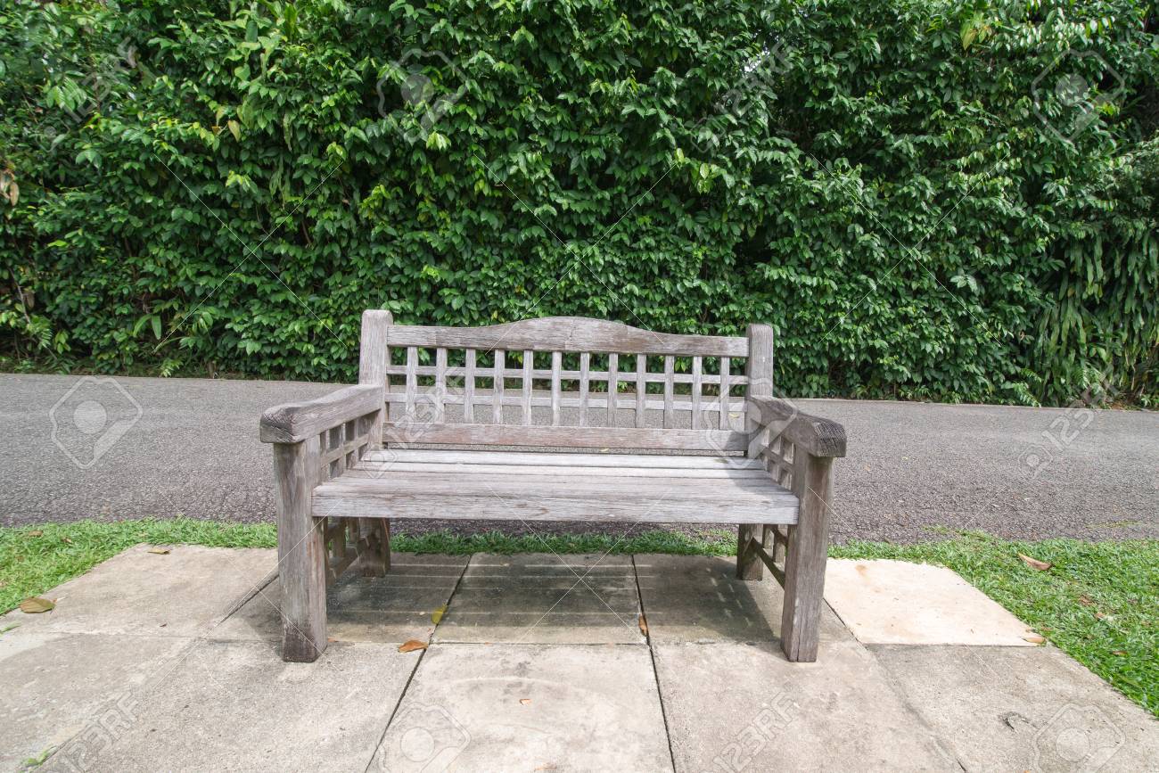 relax with wooden bench outdoor in the green garden stock photo