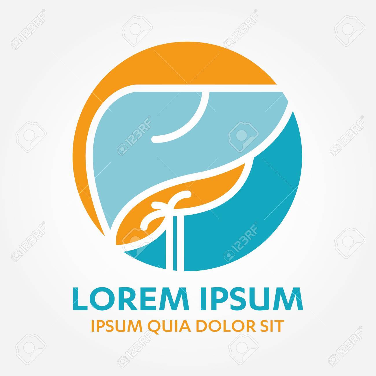 liver organ hepatology sign