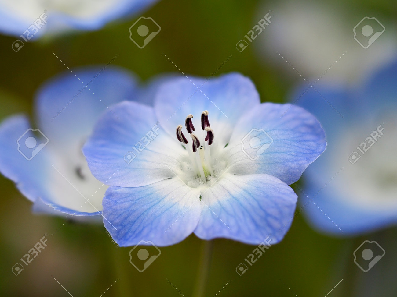 etiam-dictum-ipsum-a-felis