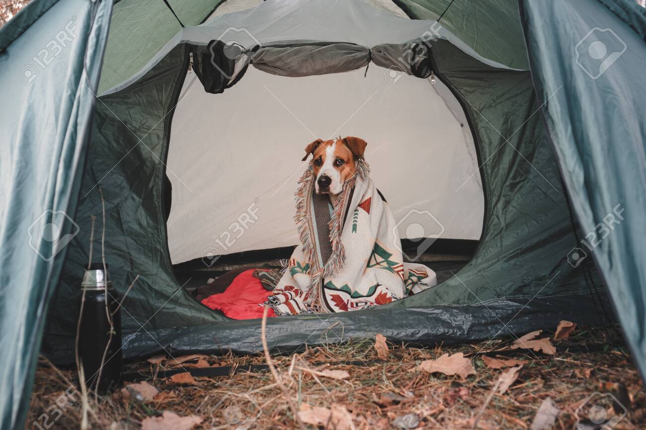 Blanket Inside A Tent. Camping 