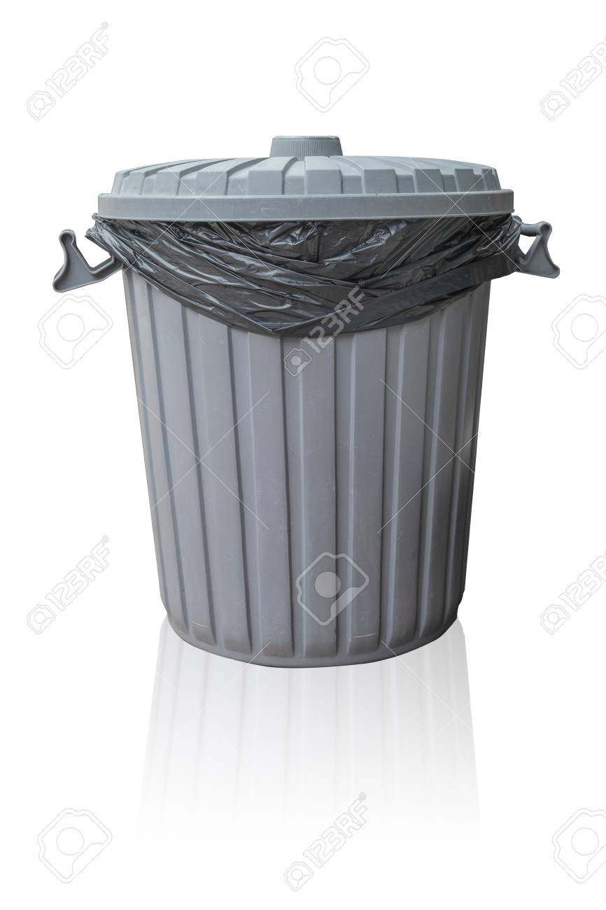 best backpack to carry dachshund