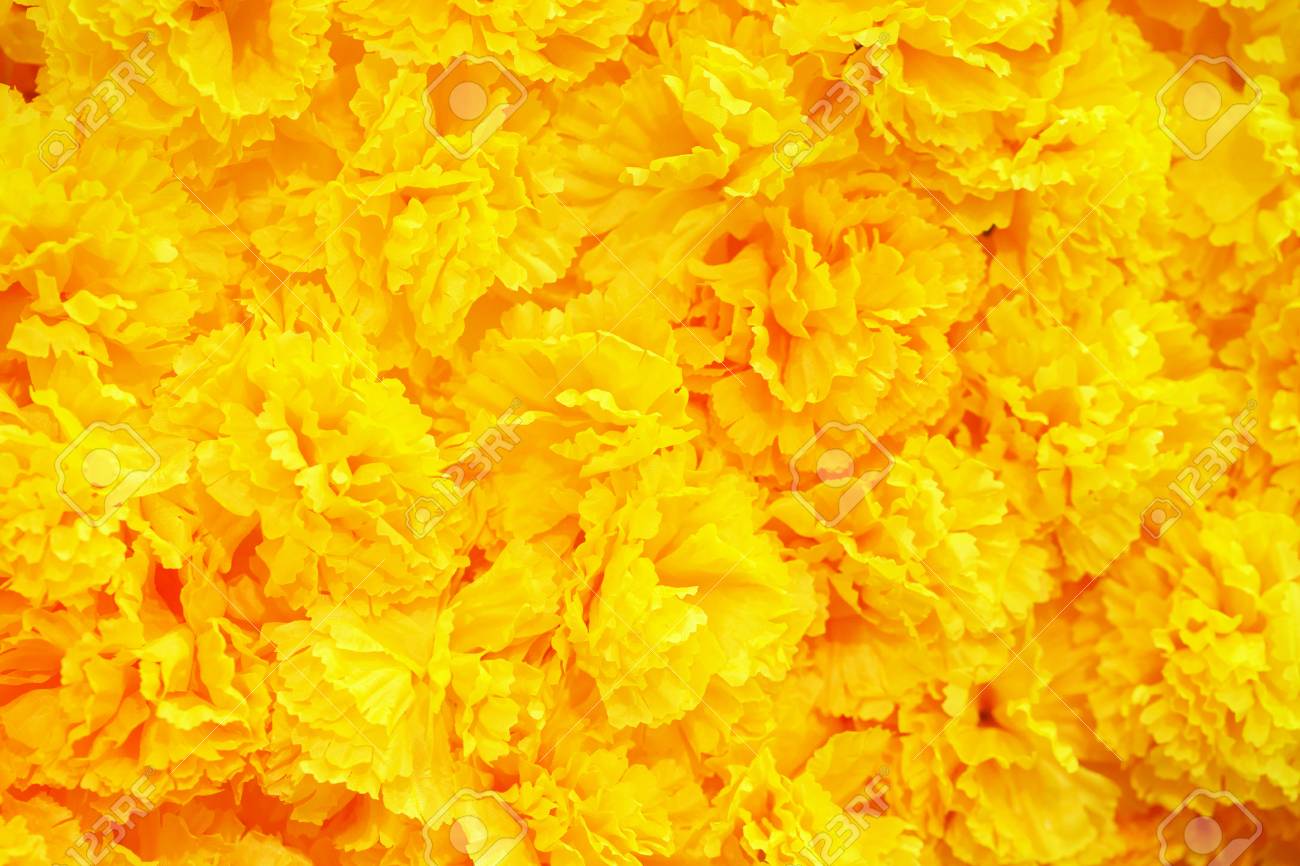 Featured image of post The Best 27 Flower Background Yellow Color