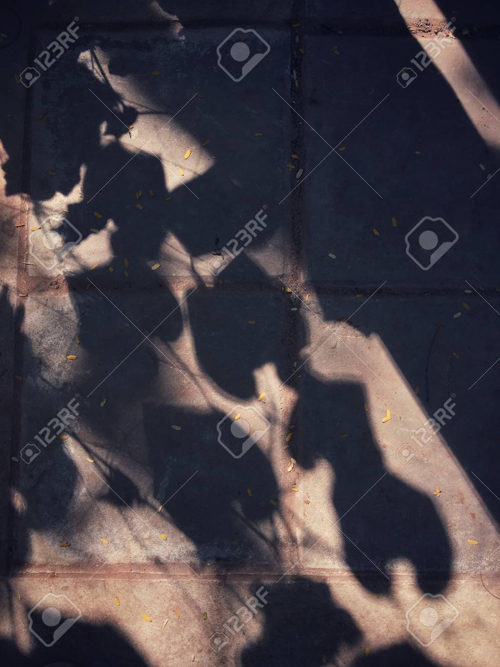 etiam-dictum-ipsum-a-felis