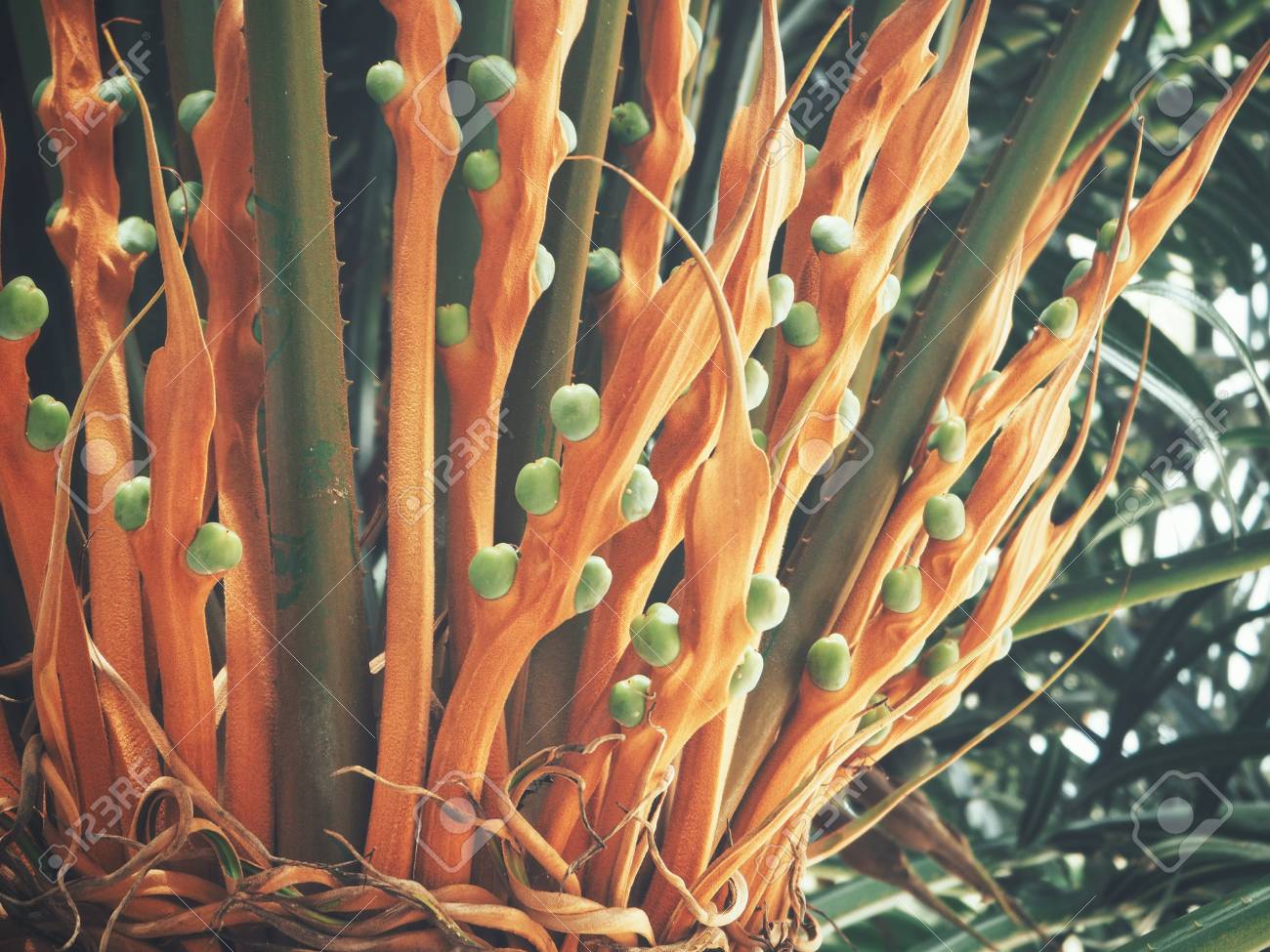 etiam-dictum-ipsum-a-felis