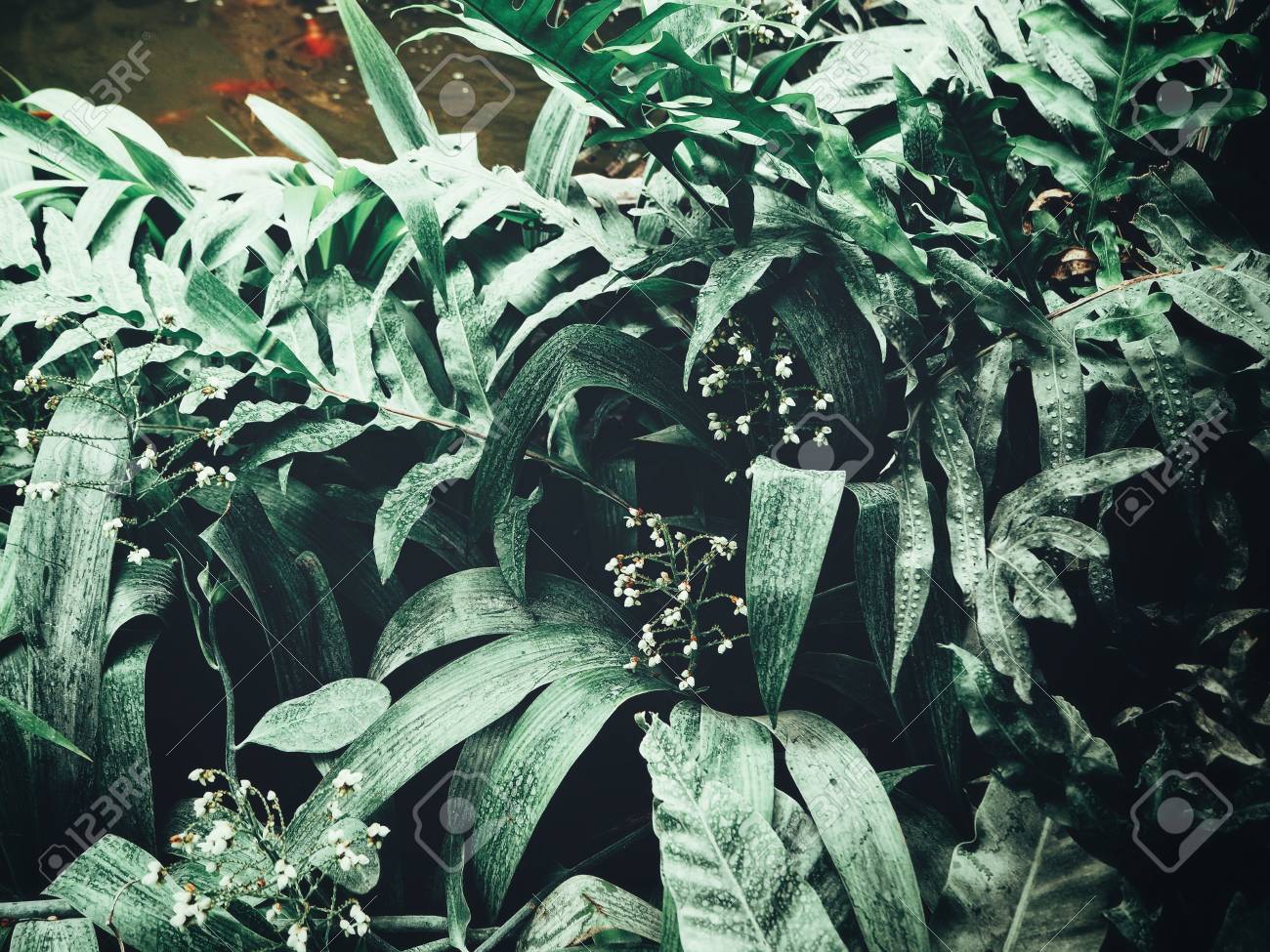 etiam-dictum-ipsum-a-felis