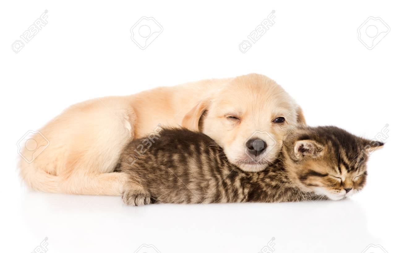 Stock Photo