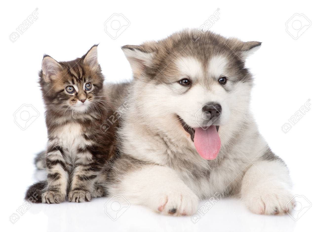 Stock Photo