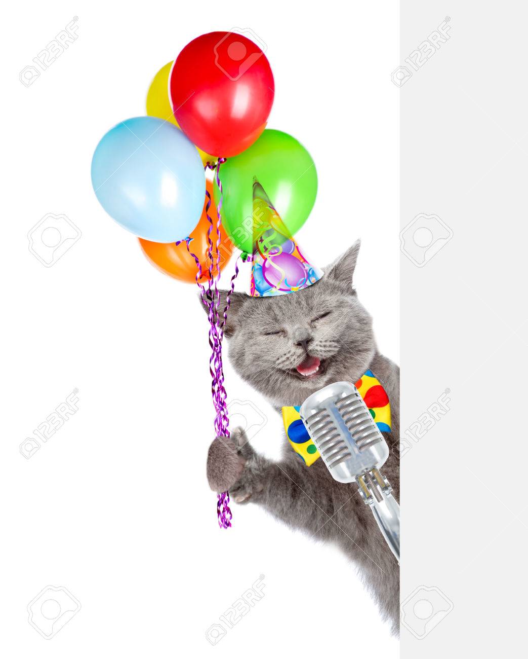 Chat Dans Le Chapeau D Anniversaire Tient Le Microphone Retro Avec Des Ballons Isole Sur Fond Blanc Banque D Images Et Photos Libres De Droits Image
