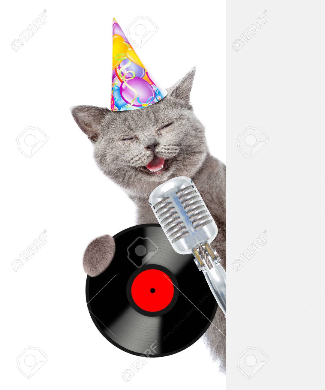 Le Chat Dans Son Chapeau D Anniversaire Tient Un Micro Retro Avec Un Disque Vinyle Et Jette Un Coup D Il Derriere Un Tableau Vide Isole Sur Fond Blanc Banque D Images Et Photos Libres