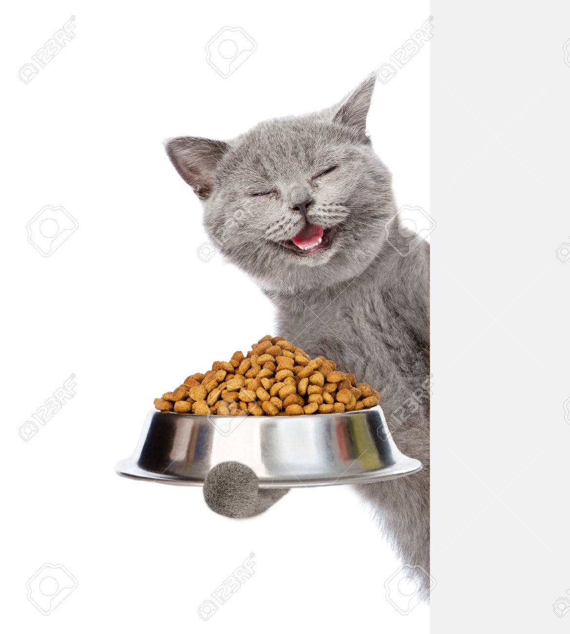 happy cat holding bowl of dry cat food and peeking from behind