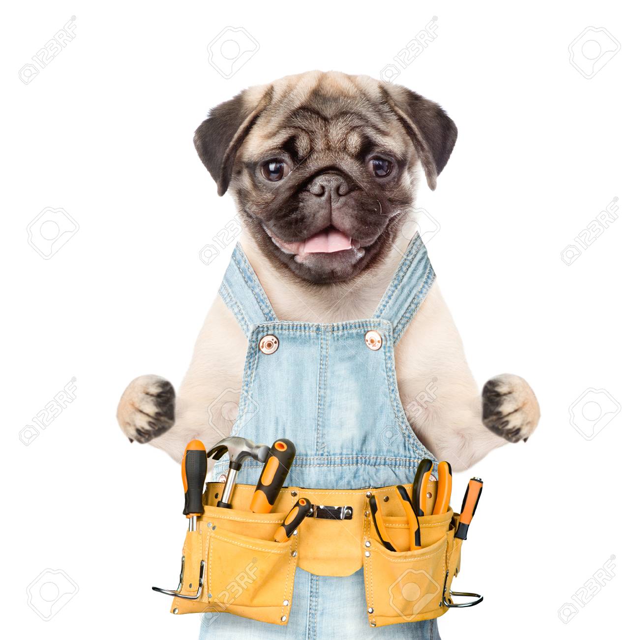 babe the blue ox plush