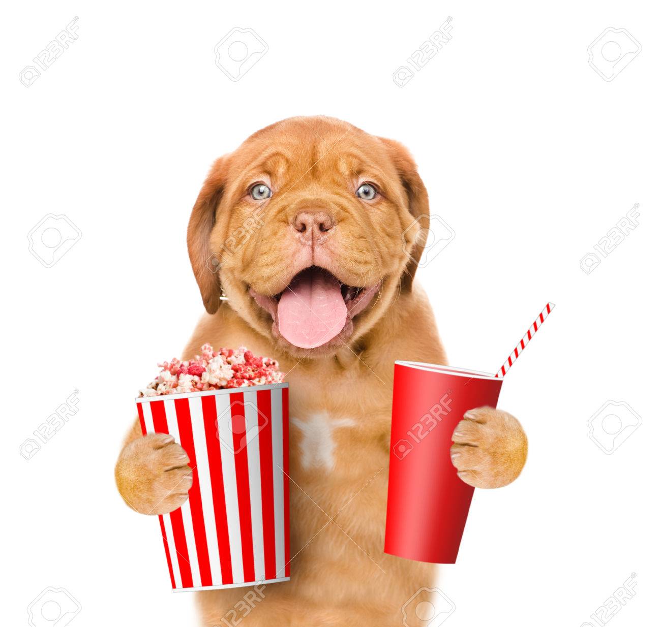 doggy popcorn