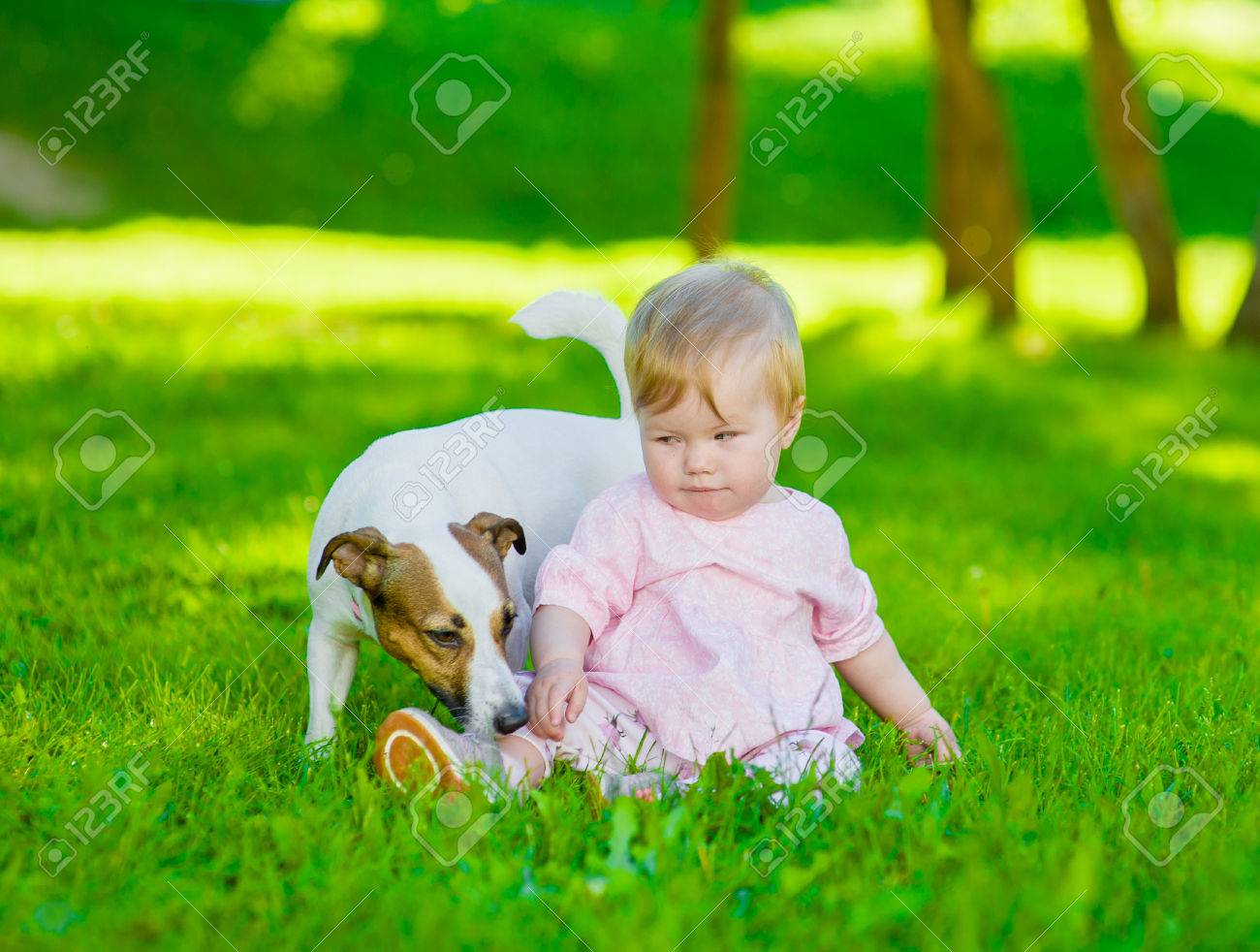 Bébé Fille Assise Sur Lherbe Avec Un Chien De Chat Russel Terrier Dans Le Parc Dété