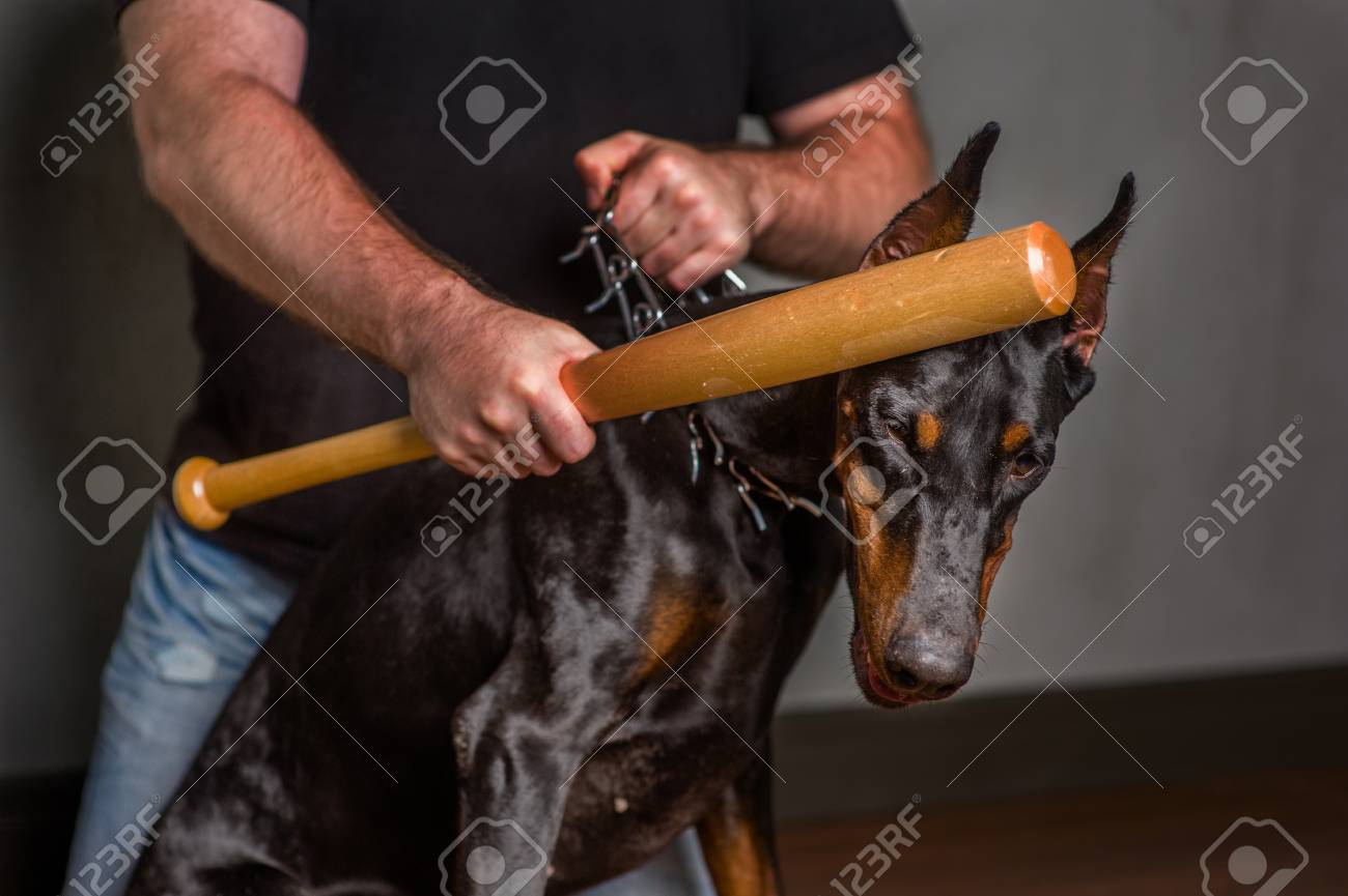 Der Mann Schlagt Den Hund Lizenzfreie Fotos Bilder Und Stock Fotografie Image 89134275