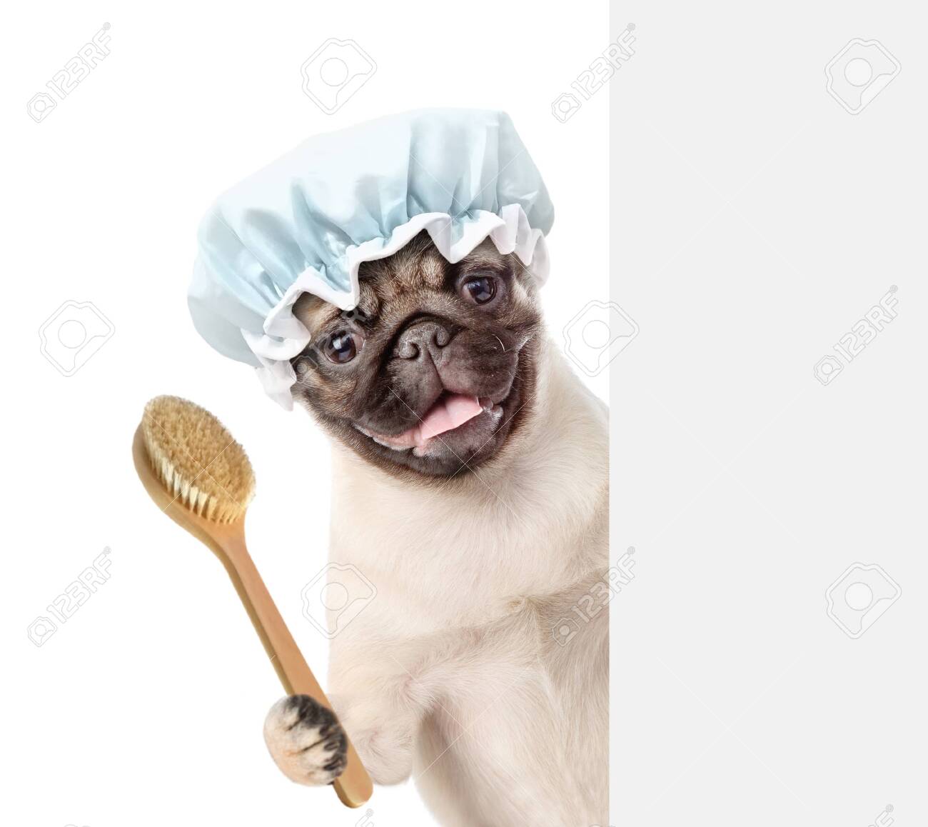 pug brush