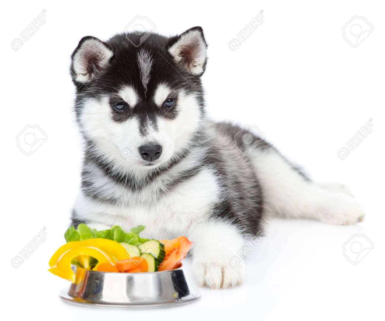 husky vitamins
